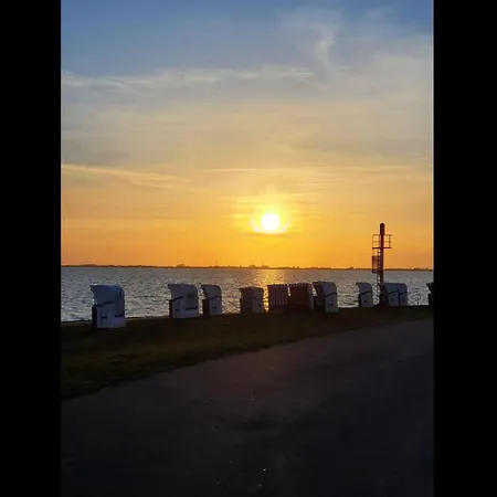 Vakantiehuis Neu 54 Sauna Gg Gebuehr
